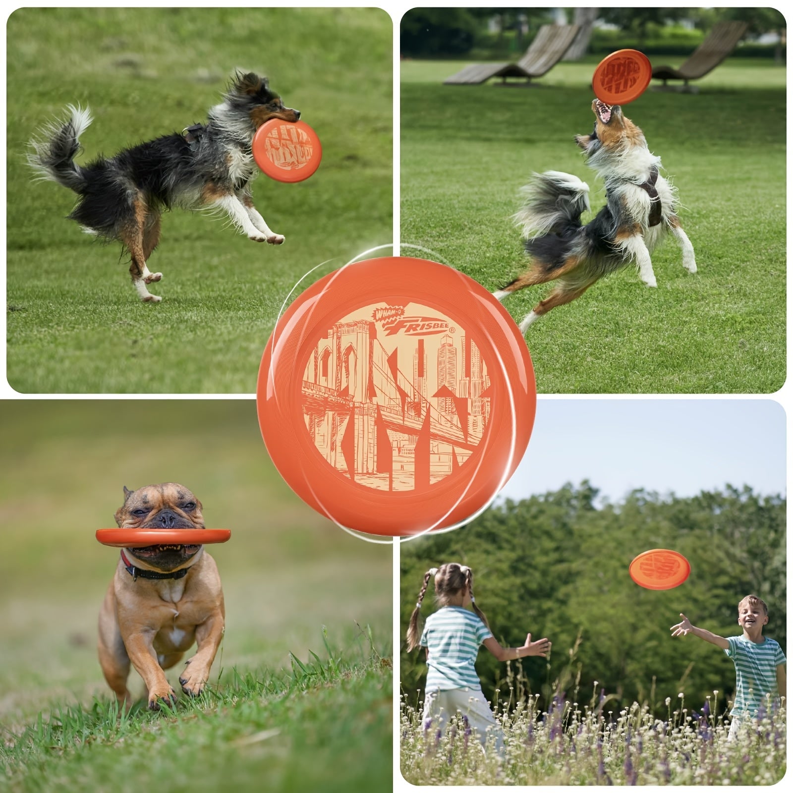 Wham-O Frisbee Cool Flyer Flying Disc