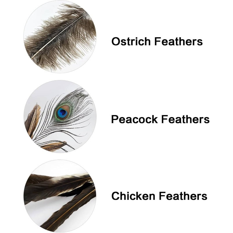 3pcs Natural Teaser Wands with Ostrich, Peacock Chicken Feathers - Long Sticks Suitable for Indoor Kittens