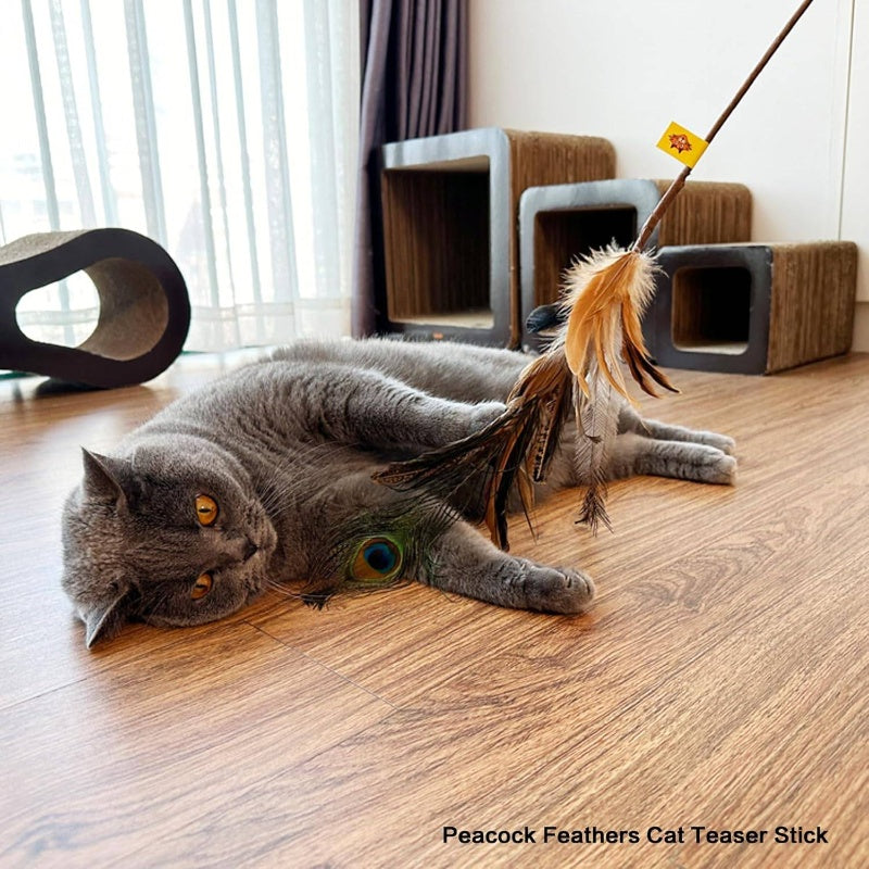 3pcs Natural Teaser Wands with Ostrich, Peacock Chicken Feathers - Long Sticks Suitable for Indoor Kittens