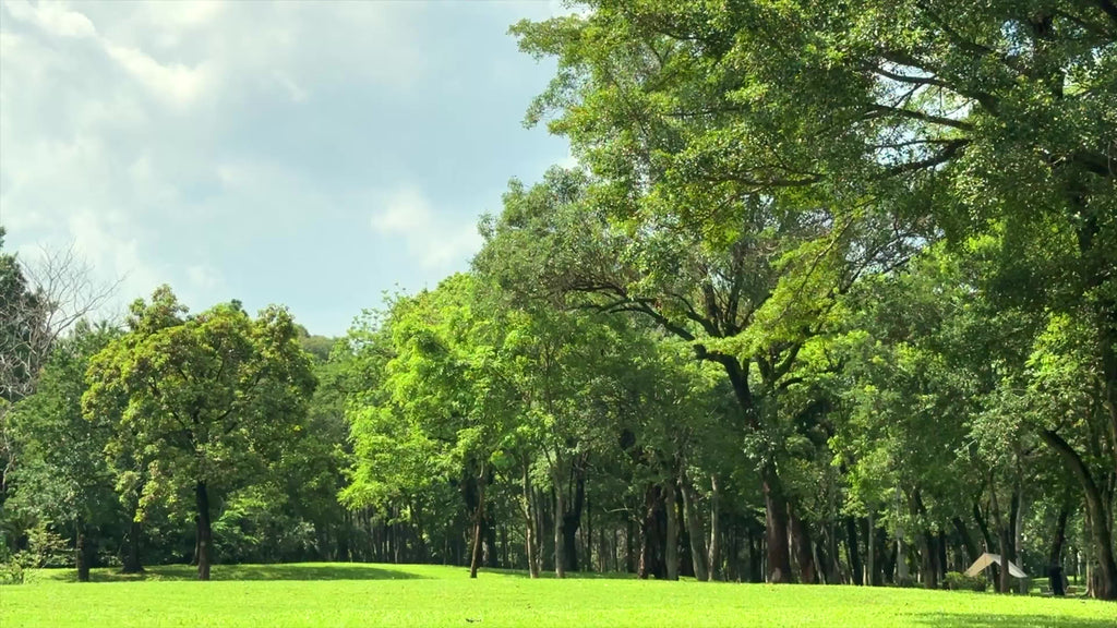 1pc Wham-O flying disc Flying Disc for Outdoor Sports, Disc & Dog Fetch Play