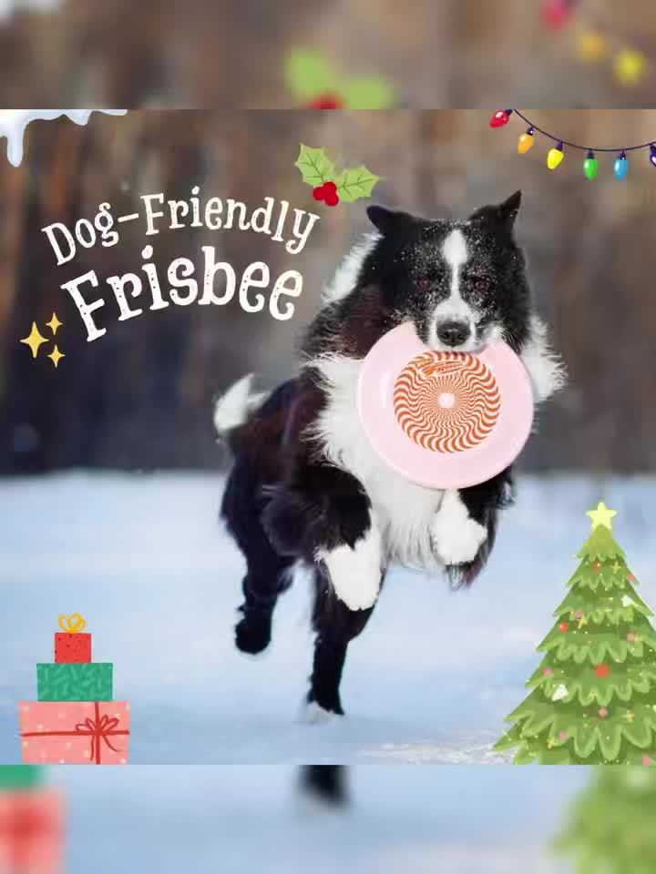 Wham-O Dog Training Disc - 9.35 Inch\u002F23.8cm Safe Flyer for Fetch