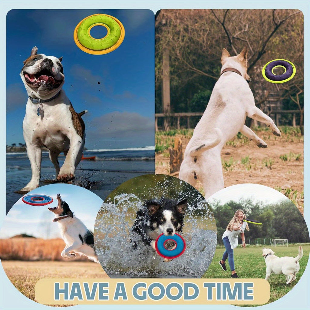 3pcs Interactive Flying Discs for Dogs - Lightweight