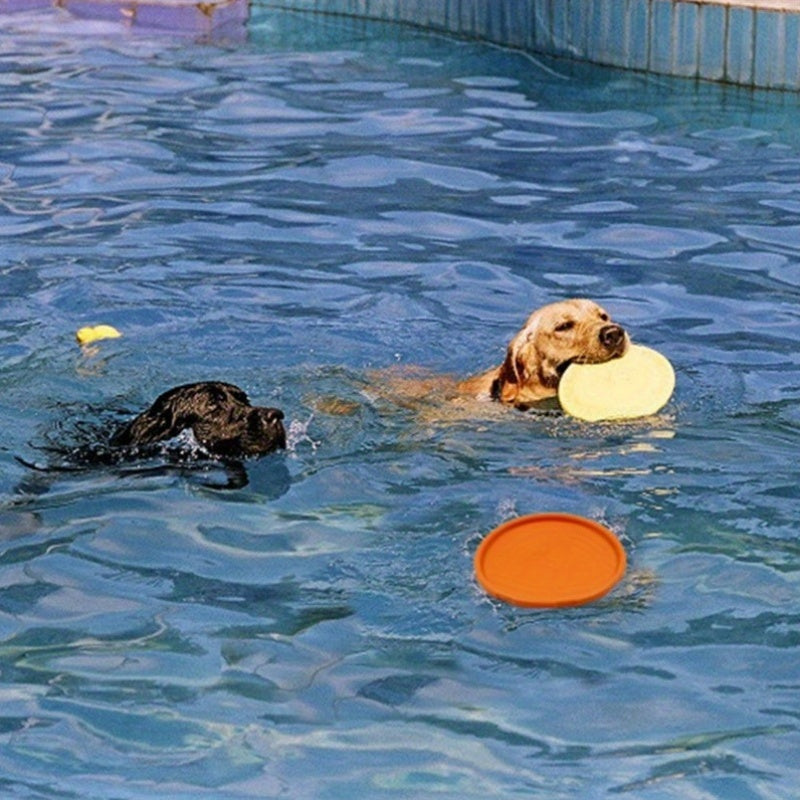 Vibrant Rubber Flying Discs for Dogs - Tough And Resistant to Bites