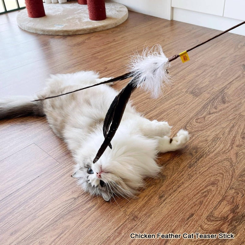 3pcs Natural Teaser Wands with Ostrich, Peacock Chicken Feathers - Long Sticks Suitable for Indoor Kittens