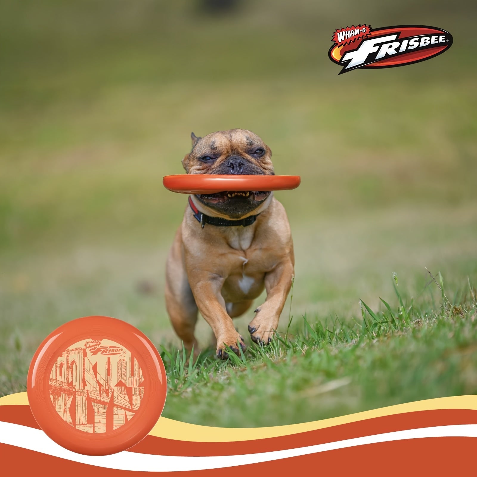 Wham-O Frisbee Cool Flyer Flying Disc