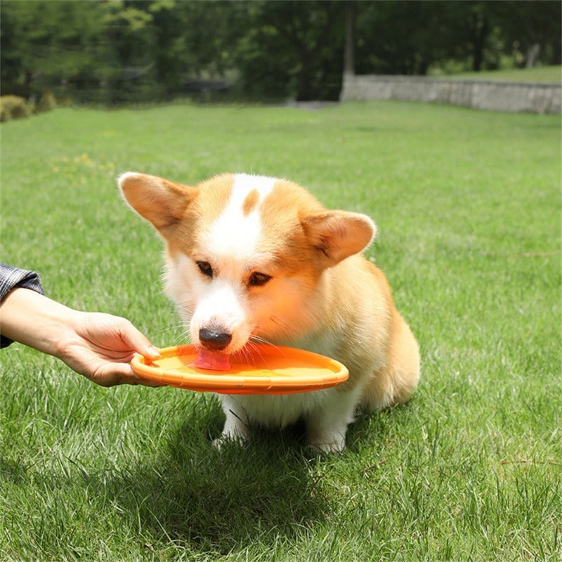 Vibrant Rubber Flying Discs for Dogs - Tough And Resistant to Bites