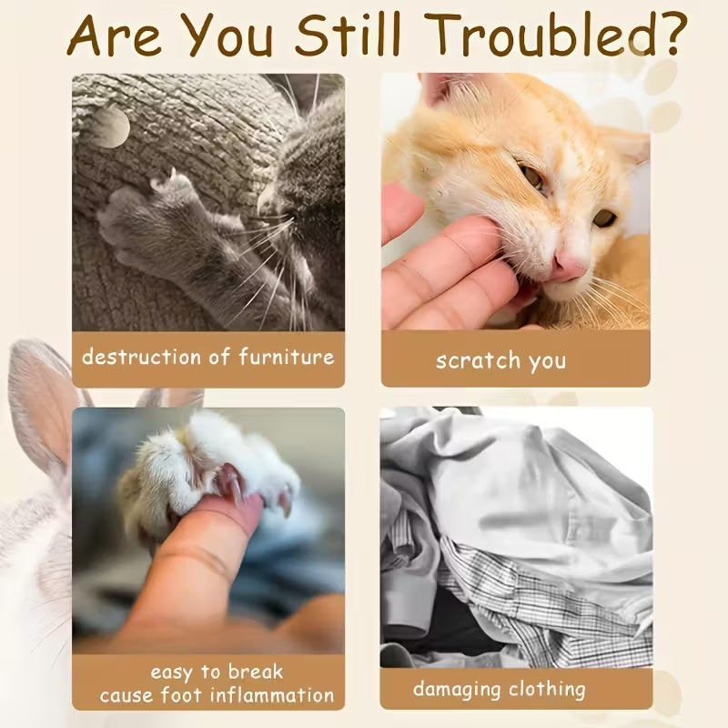 2-in-1 for Cat Ball Toys Cat Scratching Ball, Cat Scratcher Toy, Cat Scratch Board