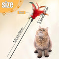 50 Pcs Cat Wand Toy Feather Stick Cat Toy Feather Toys and Teaser Wand Bulk Interactive Stick for Indoor